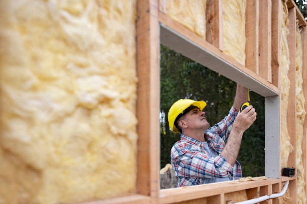 Best Blown-In Insulation  in Cairo, IL